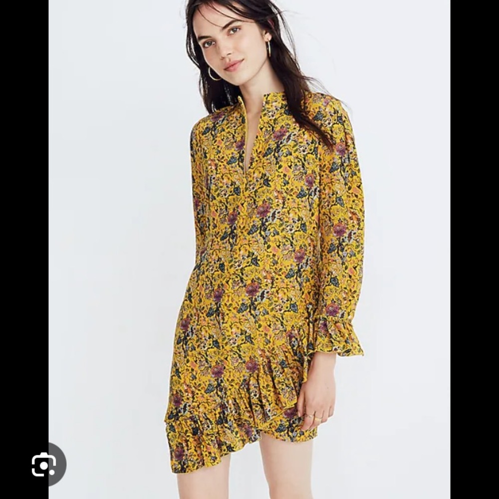 Madewell Karen walker silk dress